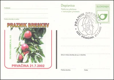 PRAZNIK BRESKEV 2002